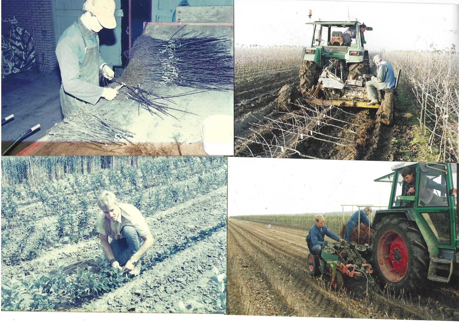 Historic photos of work on the stool beds in the 1980s